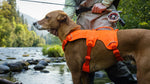 The Original Ruffwear Harness, Redefined.