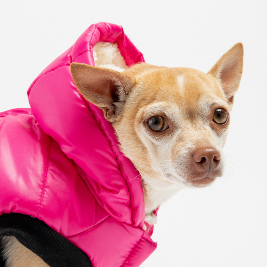 Emma Dog Jacket – Shiny Raspberry Water-Resistant Winter Coat with Sherpa Lining