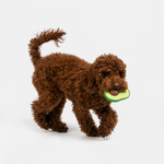 Avocado Dog Toy