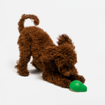 Avocado Dog Toy