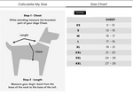 Ensemble harnais, laisse et collier 3 en 1 pour chien – Réglable, confortable et durable
