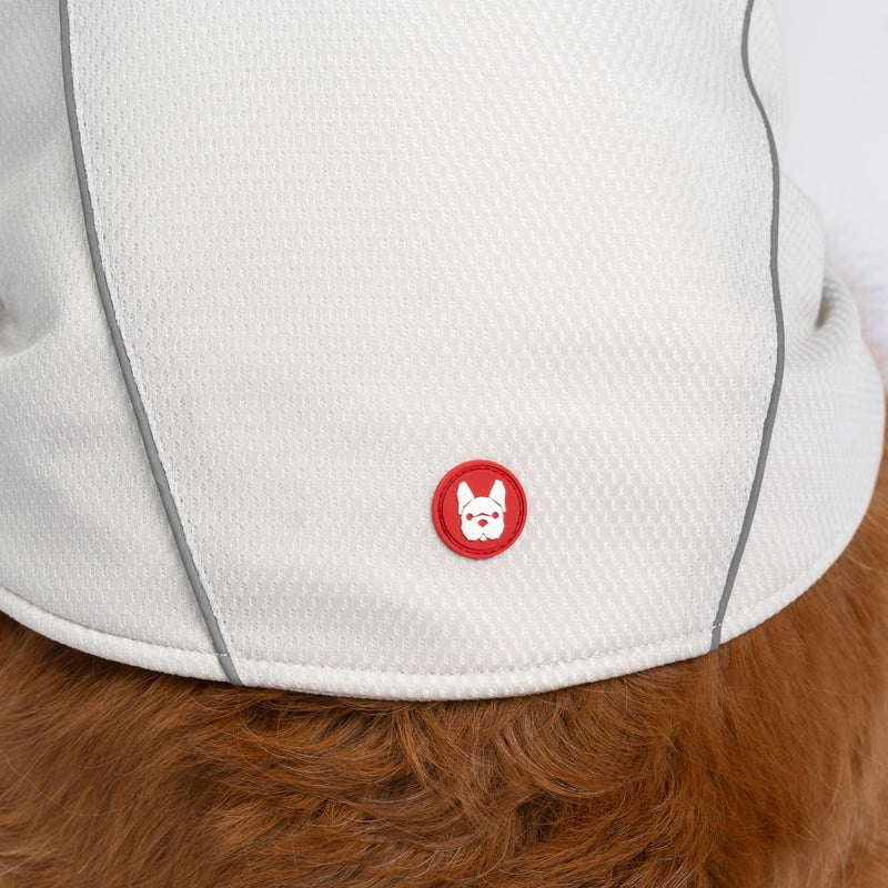 Haut rafraîchissant et protecteur UV Cooper Dog – Respirant, anti-UV, réfléchissant, confortable | Équipement d'extérieur pour animaux