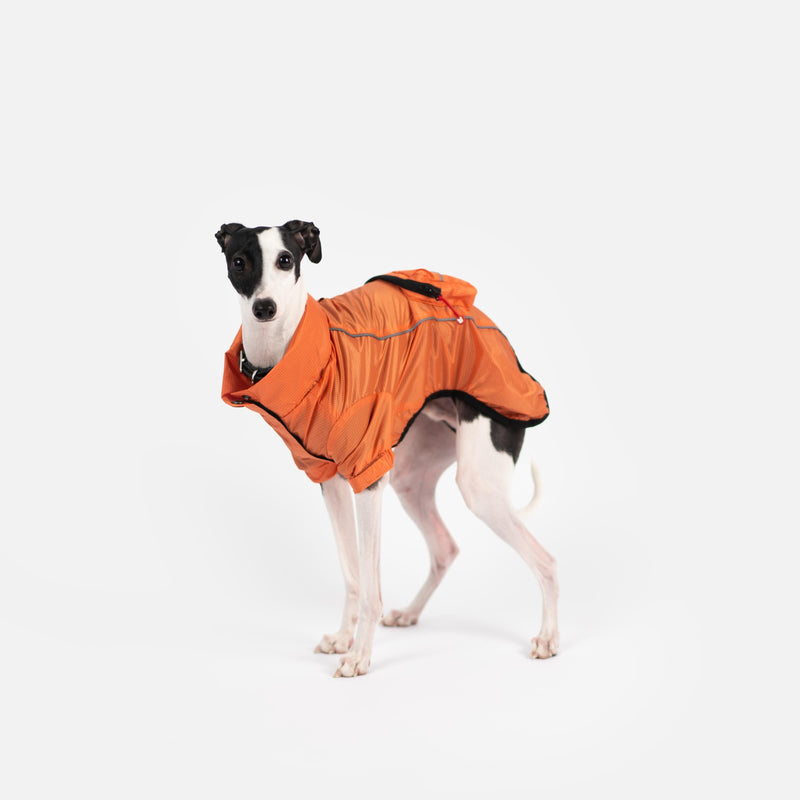 Imperméable pliable en EVA – Écologique, imperméable et ajustable | Veste de pluie élégante pour chien avec passepoils réfléchissants