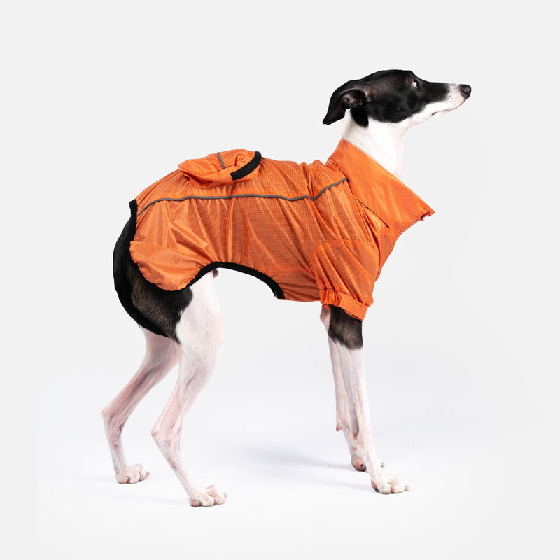 Imperméable pliable en EVA – Écologique, imperméable et ajustable | Veste de pluie élégante pour chien avec passepoils réfléchissants