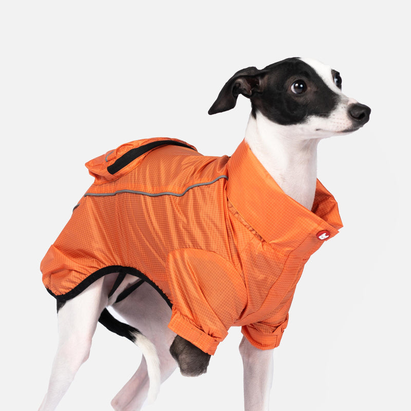 Imperméable pliable en EVA – Écologique, imperméable et ajustable | Veste de pluie élégante pour chien avec passepoils réfléchissants