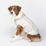 Haut rafraîchissant et protecteur UV Cooper Dog – Respirant, anti-UV, réfléchissant, confortable | Équipement d'extérieur pour animaux