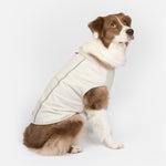 Haut rafraîchissant et protecteur UV Cooper Dog – Respirant, anti-UV, réfléchissant, confortable | Équipement d'extérieur pour animaux