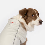 Haut rafraîchissant et protecteur UV Cooper Dog – Respirant, anti-UV, réfléchissant, confortable | Équipement d'extérieur pour animaux