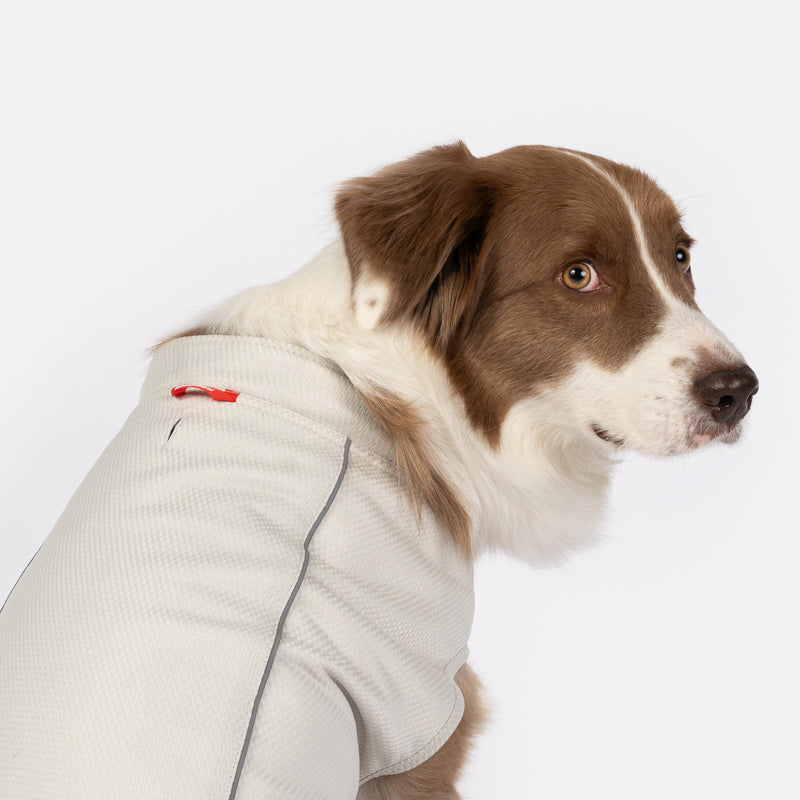 Haut rafraîchissant et protecteur UV Cooper Dog – Respirant, anti-UV, réfléchissant, confortable | Équipement d'extérieur pour animaux