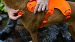The Original Ruffwear Harness, Redefined.