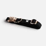 Aquafleece Dog Collar - Black - Silver Paw