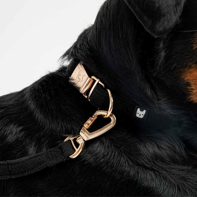 Aquafleece Dog Leash - Black - Silver Paw