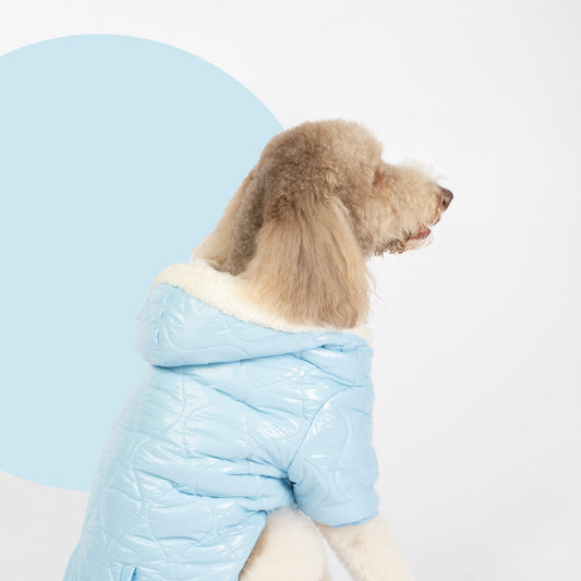 Aspen Dog Jacket - Silver Paw