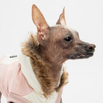 Ava Dog Jacket - Pink - Silver Paw