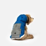 Bailey Dog Jacket - Blue - Silver Paw
