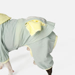 Bobbi - 2 Piece Splash Suit - Silver Paw