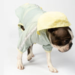 Bobbi - 2 Piece Splash Suit - Silver Paw