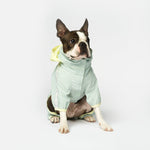Bobbi - 2 Piece Splash Suit - Silver Paw