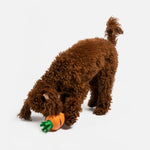 Carrot Dog Toy - Silver Paw