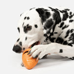 Carrot Dog Toy - Silver Paw