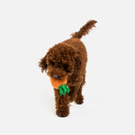 Carrot Dog Toy - Silver Paw