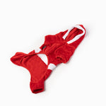 Claus Dog Pjs - Silver Paw