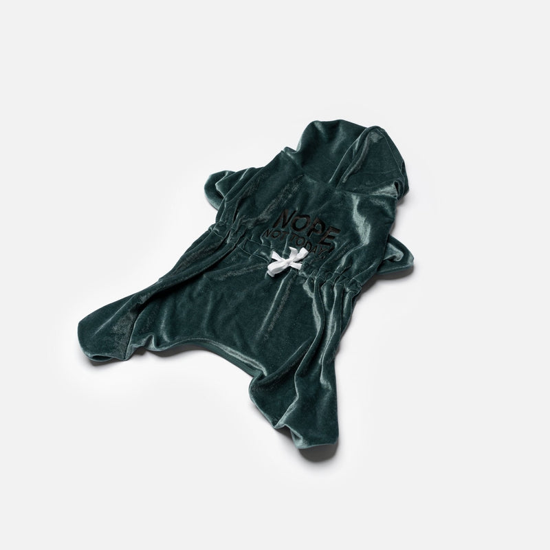 Coco Velour Pjs - Teal - Silver Paw