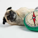 Compass- Dog Toy - Silver Paw