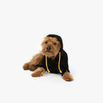 Connor Dog Hoodie - Silver Paw