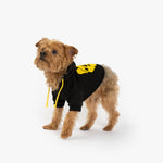 Connor Dog Hoodie - Silver Paw
