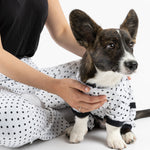 Dog Pajama - Polka Dot - Silver Paw