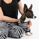 Dog Pajama - Zebra - Silver Paw