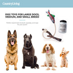 Fish & Mason Jar Dog Toys 2 Pack - Silver Paw
