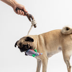 Fish & Mason Jar Dog Toys 2 Pack - Silver Paw