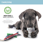 Fish & Mason Jar Dog Toys 2 Pack - Silver Paw
