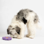 Flower Floating Dog Toy - Silver Paw