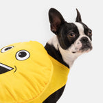 Happy Face Dog Costume - Silver Paw