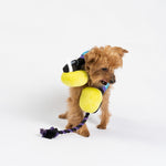 Headphones Dog Toy - Silver Paw