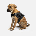 Heavy Duty Harness Black - Silver Paw