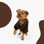Humpfrey Dog Jacket - Silver Paw
