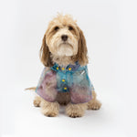 Kinney Dog Translusent Raincoat - Silver Paw