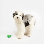 Leaf Dog Toy - Silver Paw