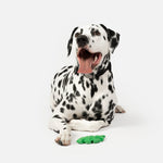 Leaf Dog Toy - Silver Paw