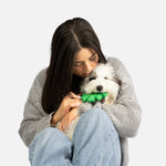 Leaf Dog Toy - Silver Paw