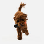 Lipstick Dog Toy - Silver Paw