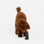 Lipstick Dog Toy - Silver Paw