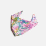 Matching Human & Dog Bandana & Face Mask Bundle - Tie Dye Rainbow - Silver Paw