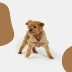 Millie Dog Jacket - Silver Paw