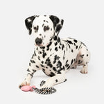 Collier pour chien | Jouet à mâcher en caoutchouc 100 % naturel, motif flottant et parfum lavande