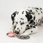 Collier pour chien | Jouet à mâcher en caoutchouc 100 % naturel, motif flottant et parfum lavande